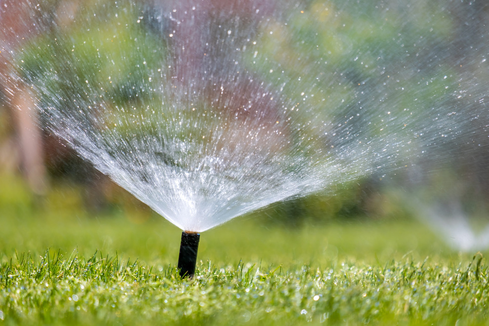 plastic-sprinkler-irrigating-grass-lawn-with-water-2021-12-27-17-42-20-utc-2-scaled(1) (1)